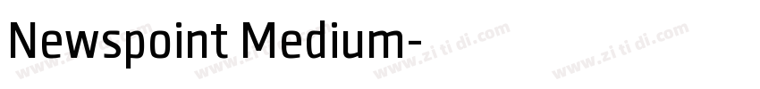 Newspoint Medium字体转换